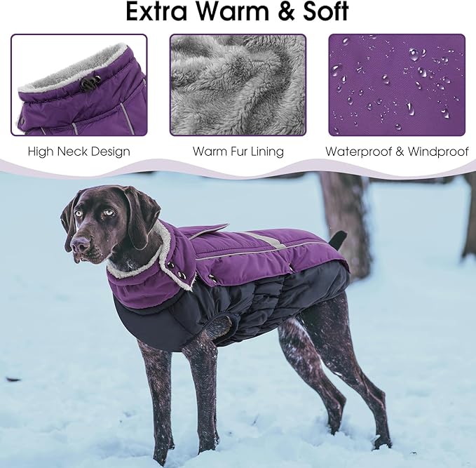 Queenmore Warm Fleece Dog Jacket - Cold Weather Waterproof Snow Jacket with Leash Hole, Reflective Turtleneck - Purple, Medium