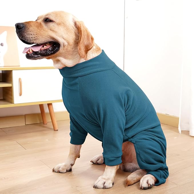 Dog Winter Coat for Small Medium Large Dog Run Walk Sleep Pet Warm Fleece Sweater & Windproof Pajamas Snow Jacket 2XL Turquoise
