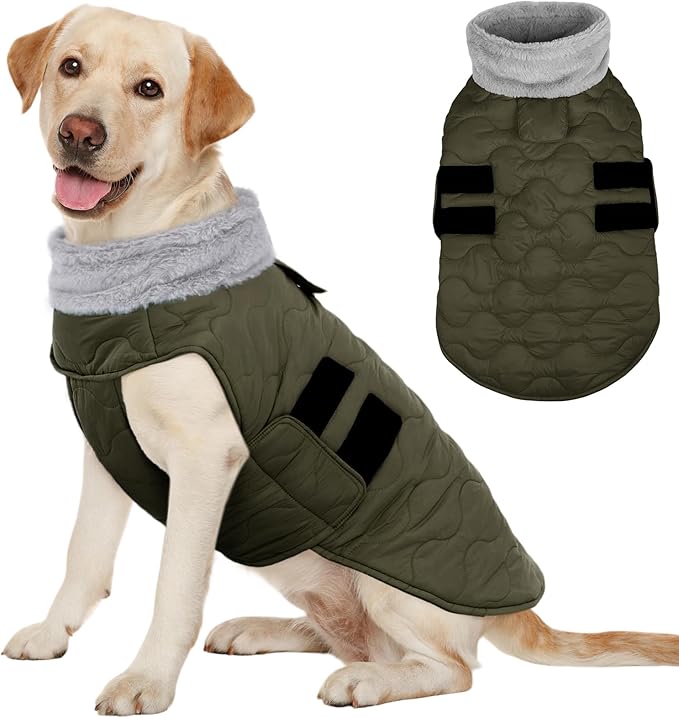 Kuoser Dog Jacket, Winter Dog Coats for Medium Dogs, Cold Weather Coats Pet Clothes, Doggie Snow Jacket for Frech Bulldog, Boston Terrier, Green L