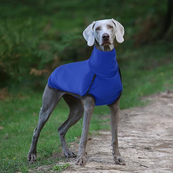 ROZKITCH Dog Fleece Vest with Leash Hole, Pet Windproof Warm Cold Weather Jacket Vest Cozy Jumpsuit Apparel Outfit Clothes for Walking Hiking Travel Sleep Blue 2XL