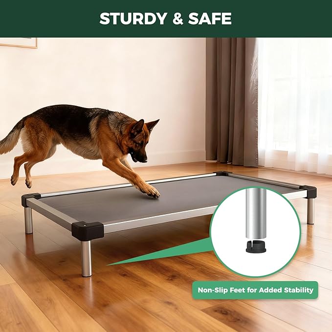 FXW TitanNest Chew-Proof Elevated Dog Bed, Raised Cot for Indoor/Outdoor/Camping Use, Durable & Washable Padded Pet Bed for Large Dogs, 47.0" L x 29.0" W x 7.3" H, Gray