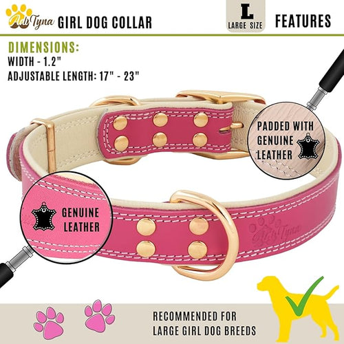 ADITYNA Heavy-Duty Pink Leather Dog Collar for Large Dogs - Soft Padded for Comfort - Girl Dog Collar for Walking, Training, and Hiking