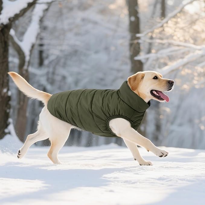 ASENKU Windproof Dog Winter Coat Waterproof Fleece Jacket Cold Weather Pet Apparel for Small Medium Large Dogs (ArmyGreen, XL)