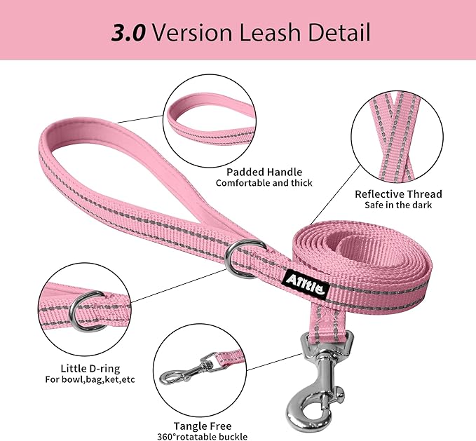 AIITLE Step in Dog Harness and Leash Set - Summer No Pull Escape Proof Vest Harnesses with Soft Mesh and Reflective Bands, Adjustable Pet Outdoor Harnesses for Small and Medium Dogs Pink M