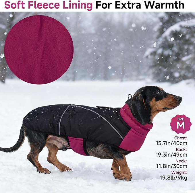 DORA BRIDAL Dachshund Coat, Fleece Lined Dog Winter Coat, Warm Dog Coats with Reflective Strips, Adjustable Waterproof Pet Jacket Clothes, XL