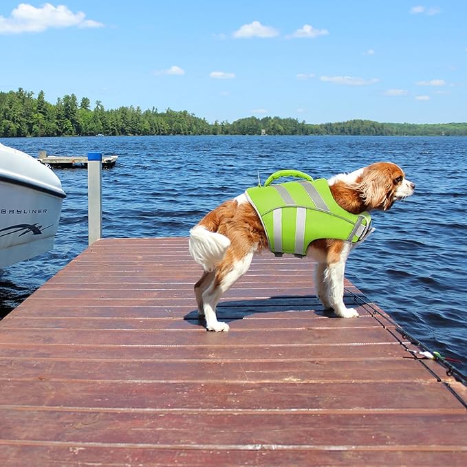 Kuoser Small Dog Life Jacket - High Flotation, Reflective Vest for Swimming Boating, Adjustable Lightweight Preserver with Rescue Handle, Green S
