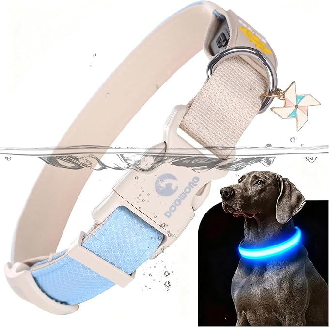 DOGWONG LED Dog Collar - Heavy Duty Light up Collars - Rechargeable Waterproof - Lighted Dog Collar for Night Walking, Hiking, Camping(Blue,M)