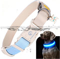 DOGWONG LED Dog Collar - Heavy Duty Light up Collars - Rechargeable Waterproof - Lighted Dog Collar for Night Walking, Hiking, Camping(Blue,L)