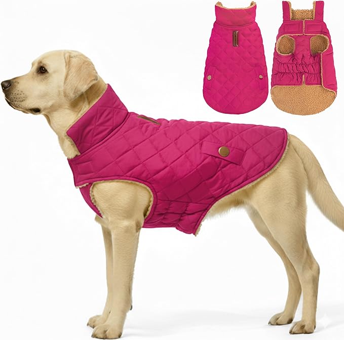 azuza Dog Jacket for Medium Dogs Waterproof & Windproof Dog Coat for Small Dogs with Thick Fleece, High Collar with Leash Hole, Adjustable Velcro & Elastic Belly, Rose Red 2XL