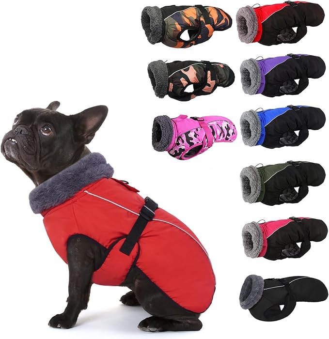 IECOii Extra Warm Dog Coat - Reflective, Adjustable Winter Jacket with Buckle & Turtleneck for Small to Extra Large Dogs