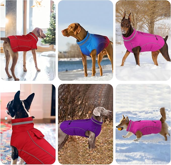 Doglay Dog Winter Coat, Waterproof Dog Jacket with Pocket, Reflective Turtleneck Pet Winter Jackets, Warm Puppy Snow Jacket for Small Medium Large Dogs