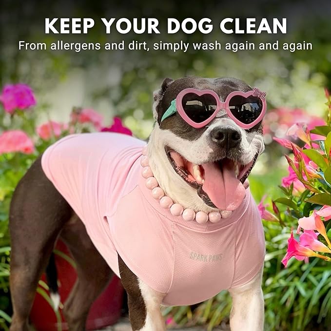 Spark Paws Sunblock Dog T-Shirt, SPF30 Protection, Lightweight Breathable Quick Dry for Dogs with Sensitive Skin - Purple & Pink (Set of 2) - 2XL
