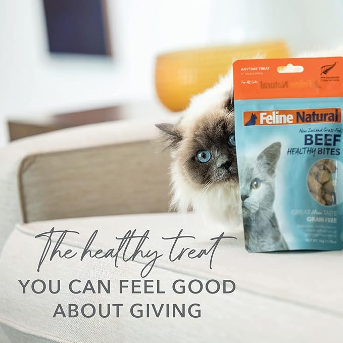Feline Natural Freeze Dried Cat Treats – New Zealand Single-Source Protein Treats for Cats - Grain-Free Healthy Cat Snacks, Beef Bites, 1.76oz (Pack of 2)