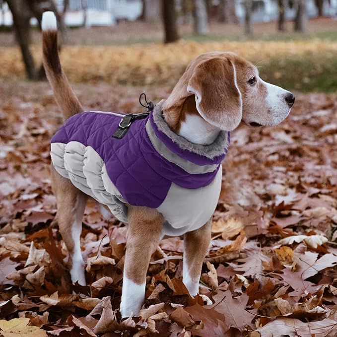 LeLePet Warm Winter Coat, Fleece Dog Jacket with Harness, Reflective Turtleneck, Waterproof, for Small Medium Large Dogs