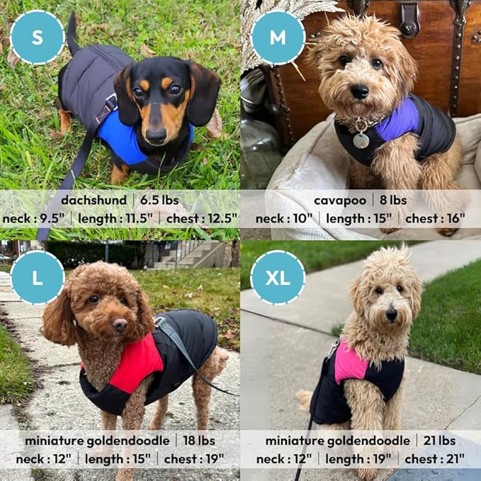 Gooby Padded Vest Dog Jacket - Green, Small - Warm Zip Up Vest Fleece Jacket with Dual D Ring Leash Water Resistant for Small to Medium Dogs