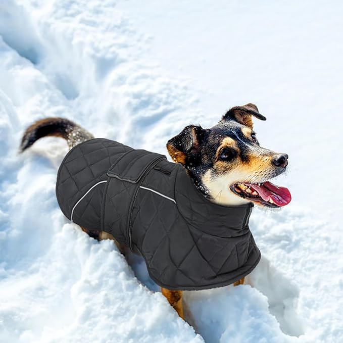 Kuoser Extra Warm Dog Jacket Windproof Cold Weather Coats for Medium Dogs, Fleece Lining Turtleneck Dog Coat Quilted Pet Christmas Winter Snow Suit with Reflective Strips, Dark Grey M