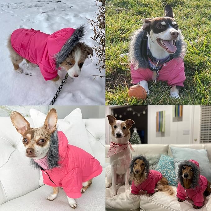 LESYPET Dog Coat for Small Dogs, Windproof Doggie Puffer Jacket with Leash Hole, Extra Warm Dog Jacket Winter Coat, Pink M