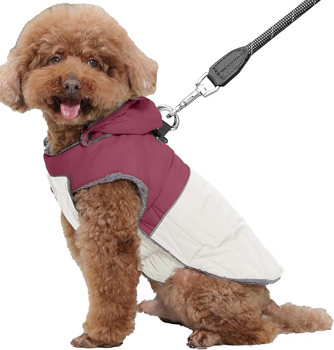 Detachable Hooded Dog Coat with Harness for Small Dogs,Super Warm Fleece Puppy Jacket for Cold Winter Doggie Coats,Red M