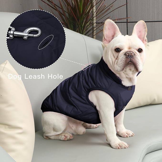 2 Layers Fleece Lined Warm Dog Jacket for Winter Cold Weather,Soft Windproof Large Dog Coat,Blue XXXL