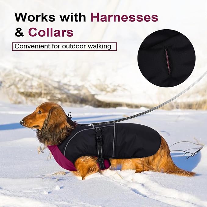 Lelepet Dachshund Coat Warm Dog Winter Coat Waterproof Dog Jacket with Fleece Lining, Reflective Outdoor Dachshund Snowsuit with Leash Hole Adjustable Neckline,Coats for Small Medium Dogs,Purple, M