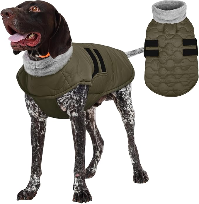 Kuoser Large Dog Coat, Winter Waterproof Dog Jackets for Large Dogs, Doggie Vest with Leash Hole, Cold Weather Coats Pet Snow Jacket for Labrador Beagle, Green XXL