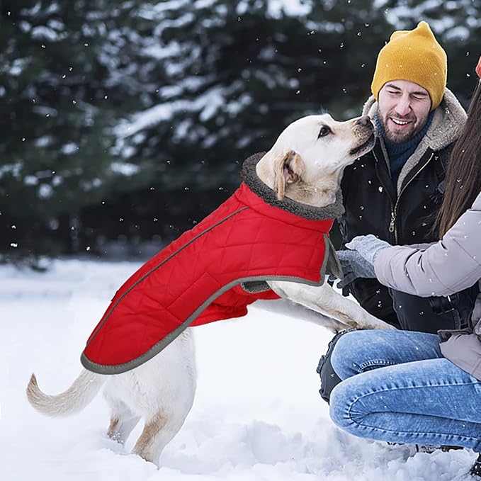 Fragralley Dog Coat Large, Waterproof Dog Jacket with Warm Fleece Lining, Adjustable Reflective Dogs Winter Coat, Turtleneck Pet Coats for Cold Weather (Red XXL)