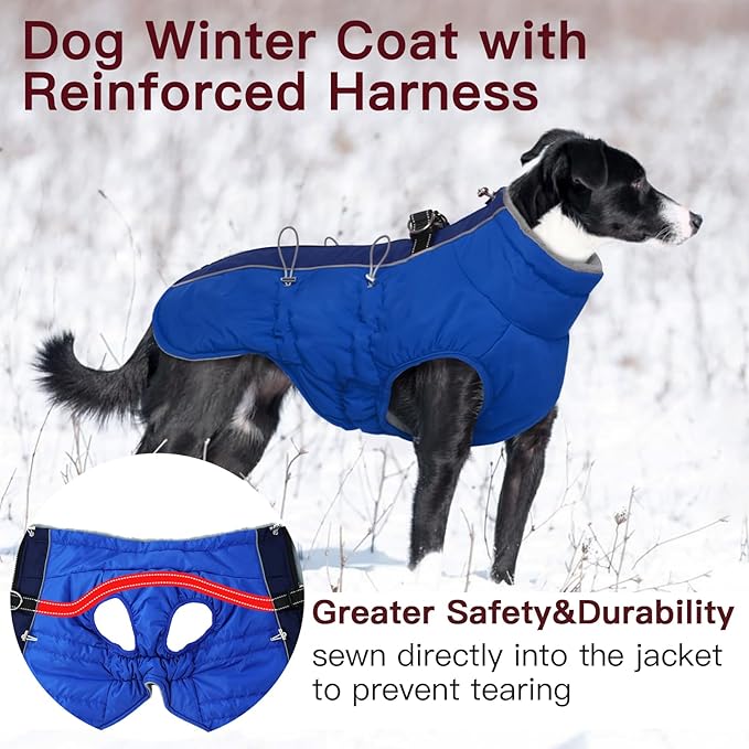 Dog Coat - Warm Zip Up Snowsuit for Large Dogs, Reflective, Water-Resistant, Royal-Blue