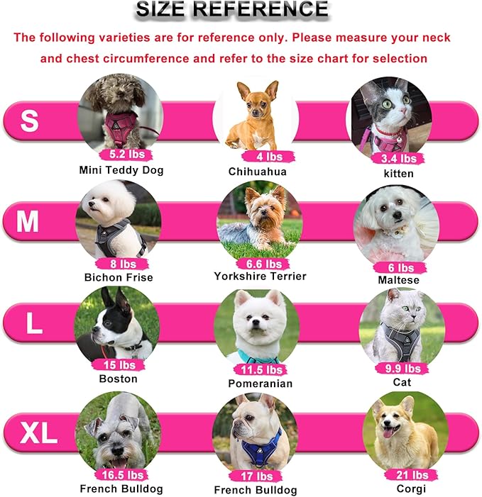 SOLMOONY Small Dog Harness,Soft Mesh Puppy Harness and Leash Set,No Escape Cat Harnesses for Training Walking,Reflective Adjustable Puppy Vest for Small Medium Dogs, Cats (Brown, M)