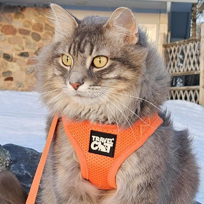 Travel Cat Harness and Leash Set - Adjustable Fit Mesh Cat Harness and Reflective Strap - Comfort Walking Vest for Kitten for Outdoor Walking, Hiking (Large, Orange)