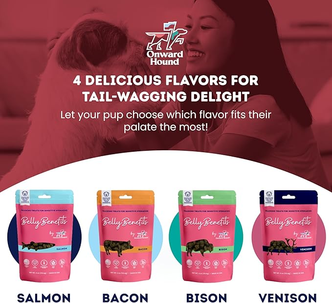 Onward Hound Training Treats for Dogs - Soft Salmon - Low Calorie Dog Training Treats for Sensitive Stomachs with Single Source Premium Protein, Corn Free, & Soy Free Formula - 10 oz