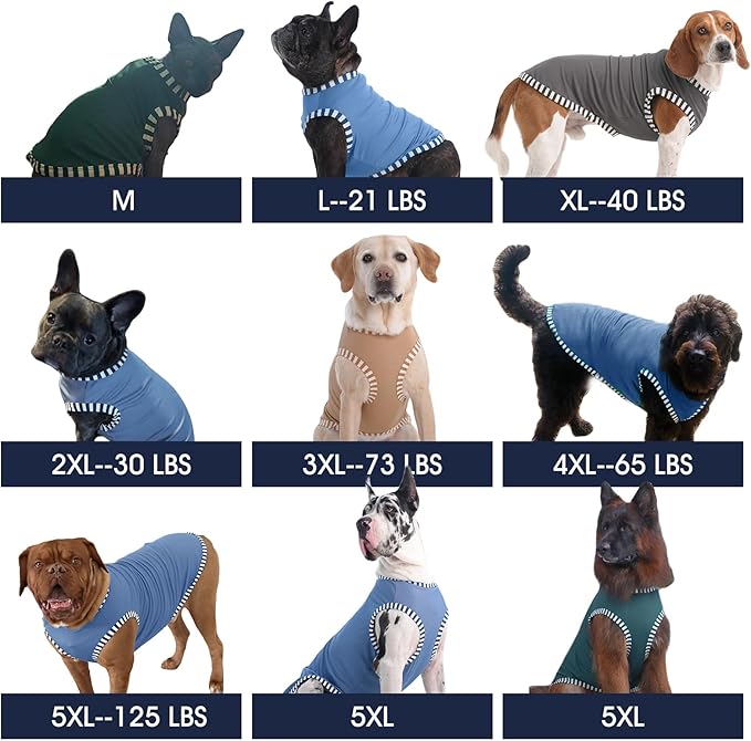 IECOii 2 Pack Dog T-Shirt for Small Dogs | Breathable Stretch Fit for Summer, UV Sun Protection for Chihuahua & Cats, Grey+Blue,M