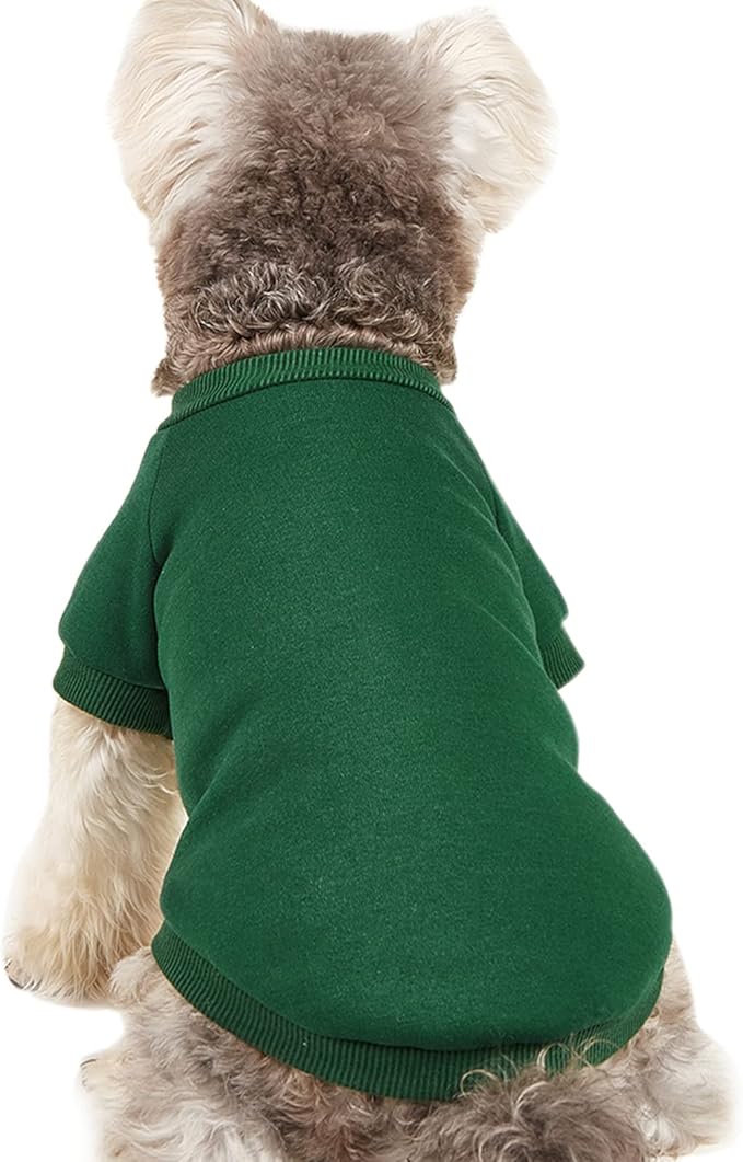 Puppy Sweater for Small Dogs Clothes Warm Winter Cat Clothe Pet Sweatshirt Knitwear Doggie Kitten Clothing, Green, XX-Small