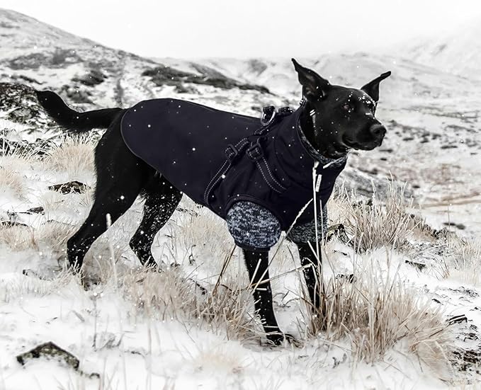 Lelepet Dog Coat 3 in 1 Waterproof Dog Winter Jacket with Harness Built in Windproof Snow Jakcet with Detachable Fleece Sweater Lining Reflective Thermal Cold Weather Coats for Small Medium Large Dogs