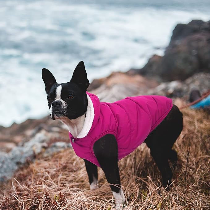 Windproof Waterproof Dog Coat Fleece & Cotton Lined Warm Jacket, Cold Weather Pet Apparel Clothes Vest for Small Medium Large Dog (XS, Pink)