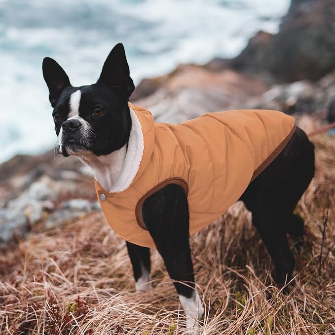 Dog Fleece Hoodie, Windproof Waterproof Dog Coat, Winter Warm Dogs Jacket, Cold Weather Pet Apparel Clothes Vest for Small Dogs Khaki, XS