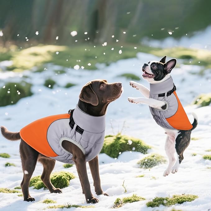 DENTRUN Dog Coat with Harness Built in, Easy On/Off Zipper Closure Winter Dog Vest, Fleece Lined Warm Jacket with Reflective for Labrador, Orange, L
