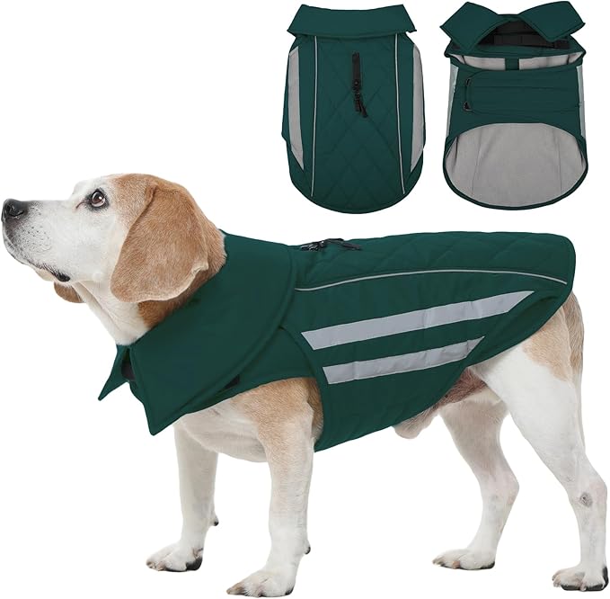 IECOii Dog Winter Coat - Waterproof & Windproof & Reflective Coats, Adjustable & Fleece Lined Snow Jacket for Pitbull Outdoor Adventures, Green, Sizes XL