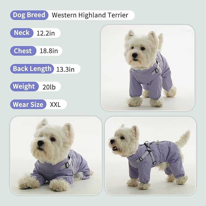 BRKURLEG Dog Raincoat for Small Dogs, Small Dog Rain Jacket with Harness Built in, Waterproof 4 Legs Puppy Raincoats, Puppy Outdoor Jacket with Reflective Strip, Purple, L