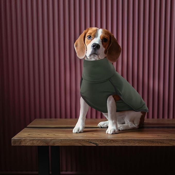 ROZKITCH Dog Winter Coat Soft Pullover Pajamas, Pet Windproof Warm Cold Weather Jacket Vest Cozy Jumpsuit Apparel Outfit Clothes for Walking Hiking Travel Sleep Green 4XL