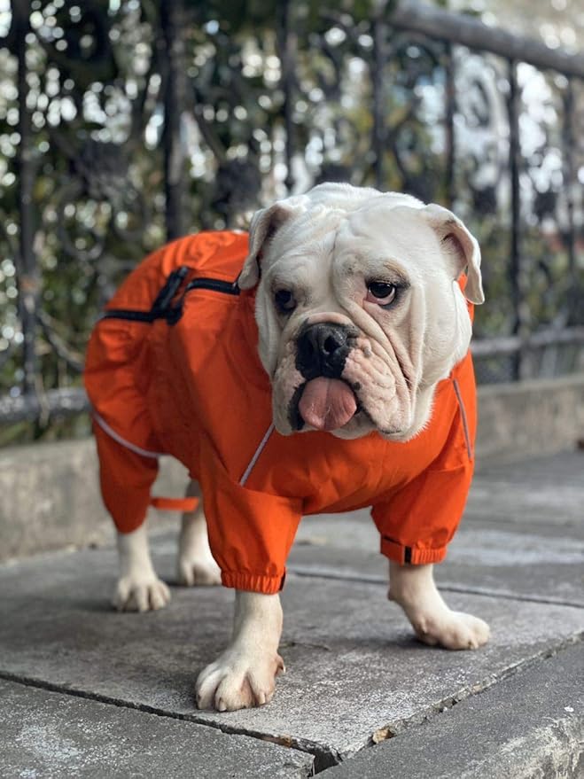 Dogs Waterproof Jacket, Lightweight Waterproof Jacket Reflective Safety Dog Raincoat Windproof Snow-Proof Dog Vest for Pugs English French Bulldog American Pit Bull Orange B-L