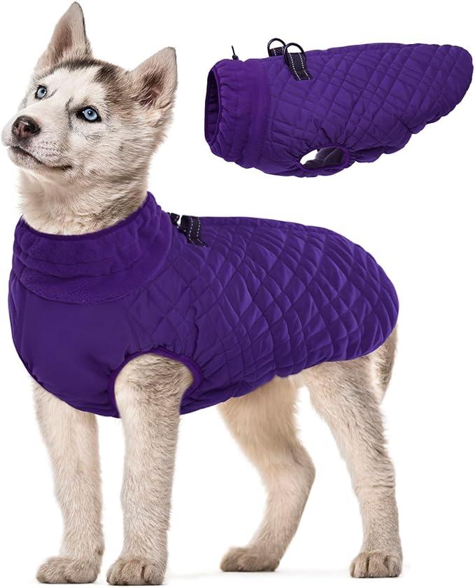 Kuoser Small Dog Jacket | Fleece-Lined Cold Weather Gear for Yorkies Chihuahua | Reflective Edges Guard Mini Breeds on Night Walks, Quick-Dry Fabric, Purple S