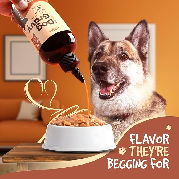 Everyday Dog Gravy Bacon – Premium Wet Dog Food Gravy Toppers for Dry Food – Tasty & Nutritious Dogs Gravy with Essential Vitamins and Supplements – Hip and Joint Supplement