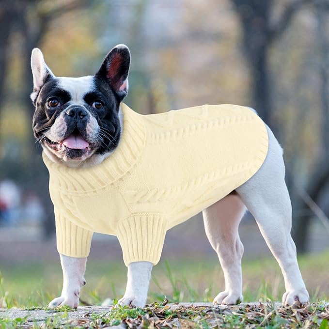 Queenmore Small Dog Pullover Sweater, Cold Weather Cable Knitwear, Classic Turtleneck Thick Warm Clothes for Chihuahua, Bulldog, Dachshund, Pug (White, Small)