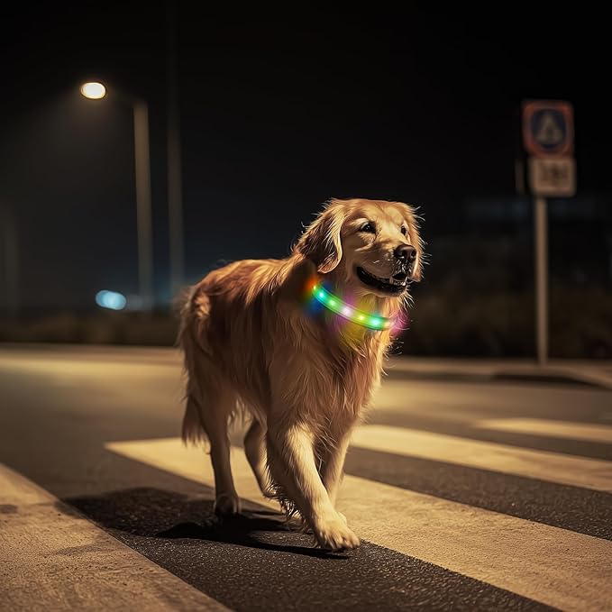 LED Dog Collar, Light Up Dog Collar, USB Rechargeable - Brightest Dog Lights for Night Walking, 6 Light Modes, Adjustable for Dog Safety(Small, Neon Green)