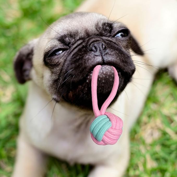 2ME Puppy Rope Toys for Teething and Chewing - Set of 4 Natural Cotton Tug of War Rope for Dogs of All Breeds and Sizes