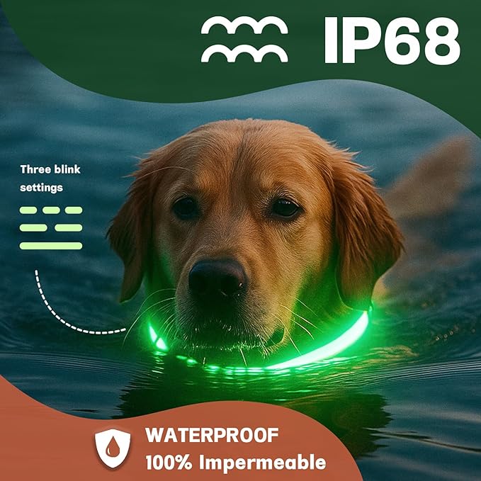 DOGWONG LED Dog Collar - Heavy Duty Light up Collars - Rechargeable Waterproof - Lighted Dog Collar for Night Walking, Hiking, Camping(White,M)