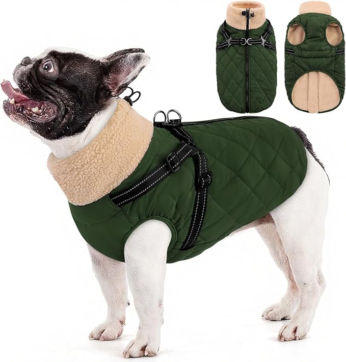 Queenmore Dog Jackets for Medium Dogs, Dog Coat with Harness Built in, Waterproof Pet Winter Coat with Zipper On Back Doggy Snowsuits Warm Pet Jacket for French Bulldog, Poodle, Corgi, ArmyGreen M