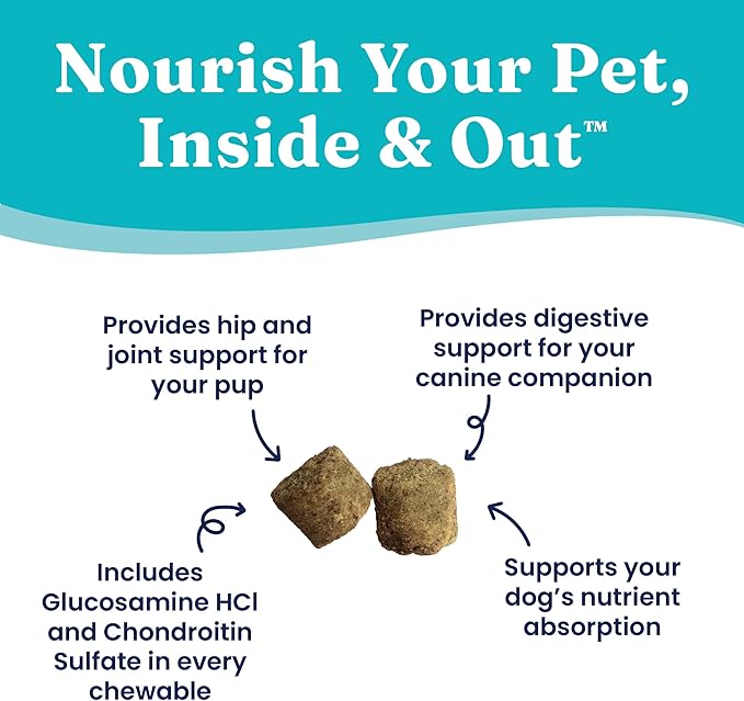 Solid Gold Healthy Dog Treats - Functional Chicken Dog Treat w/Glucosamine Chondroitin for Mobility & Joint Support - Training Treats for Dogs w/Salmon Oil & Superfoods - All Ages & Sizes - 5.2oz