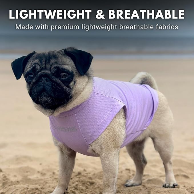 Spark Paws Sunblock Dog T-Shirt, SPF30 Protection, Lightweight Breathable Quick Dry for Dogs with Sensitive Skin - Purple & Peach (Set of 2) - L