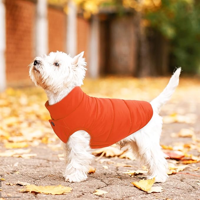 ASENKU Dog Winter Coat - Waterproof Windproof Dog Jacket, Warm Snowproof Doggie Puffer Vest for Cold Weather, Lightweight Snow Coats for Small Medium Large Dogs (Orange, 3XL)